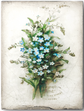 Load image into Gallery viewer, T444 Forget Me Not
