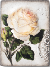 Load image into Gallery viewer, T374 Sweet Rose
